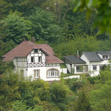 La Dependance De La Villa Des Oiseaux - La Petite Pierre Екстериор снимка