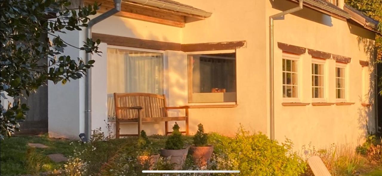 La Dependance De La Villa Des Oiseaux - La Petite Pierre Екстериор снимка