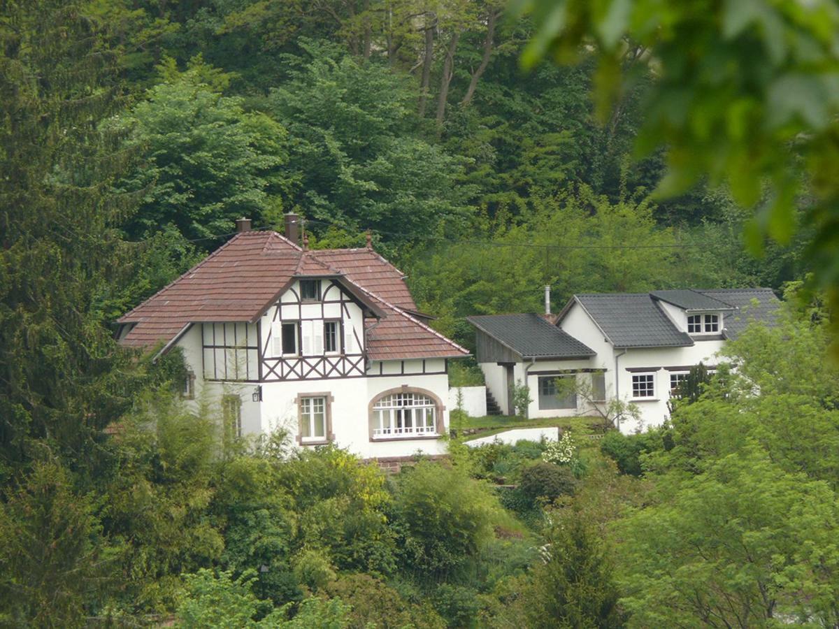 La Dependance De La Villa Des Oiseaux - La Petite Pierre Екстериор снимка