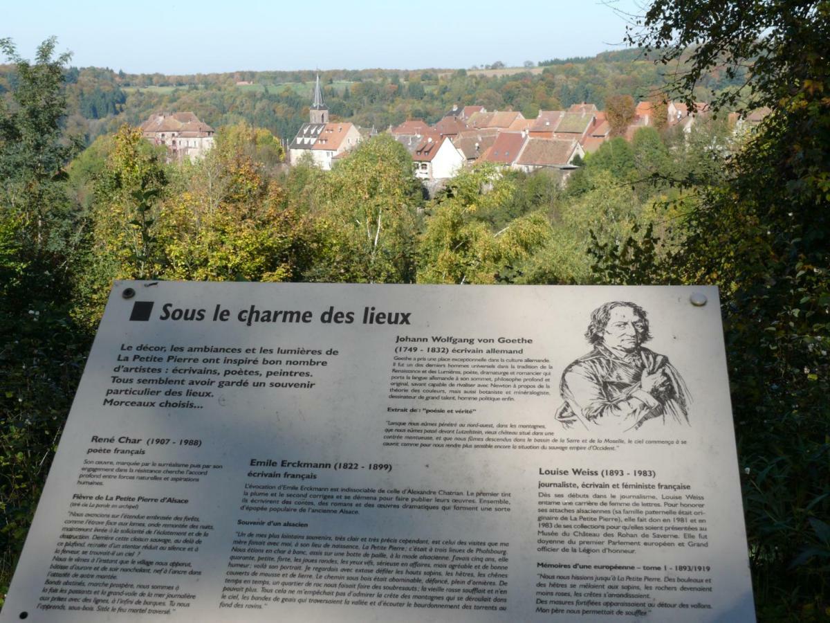 La Dependance De La Villa Des Oiseaux - La Petite Pierre Екстериор снимка