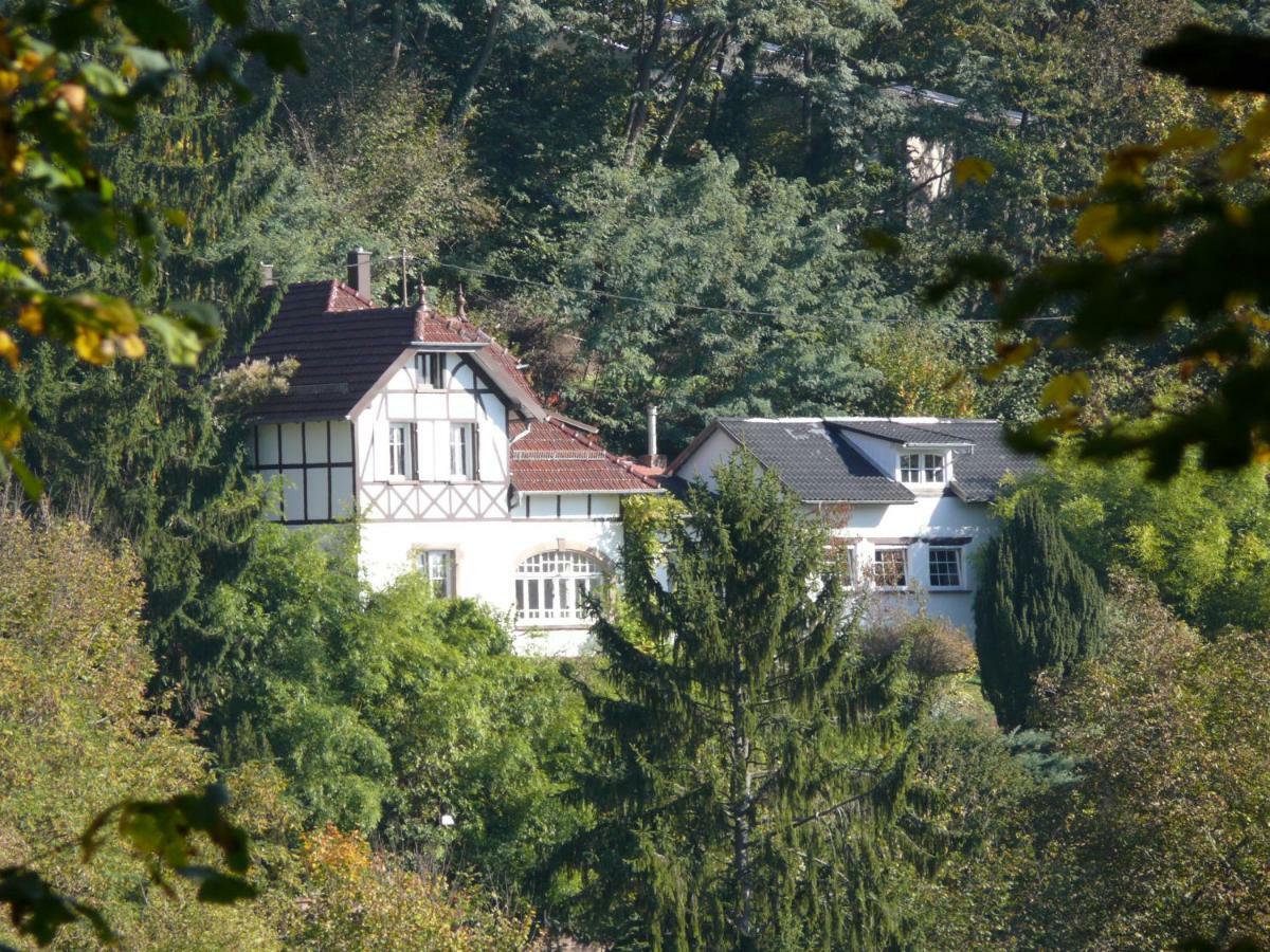 La Dependance De La Villa Des Oiseaux - La Petite Pierre Екстериор снимка