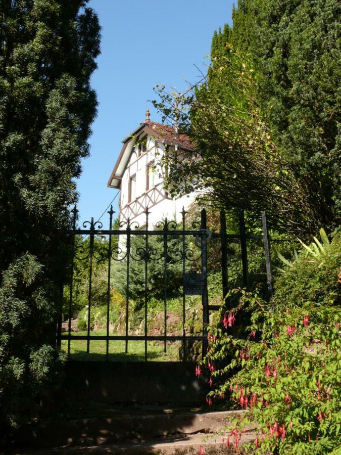 La Dependance De La Villa Des Oiseaux - La Petite Pierre Екстериор снимка
